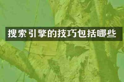 搜索引擎的技巧包括哪些