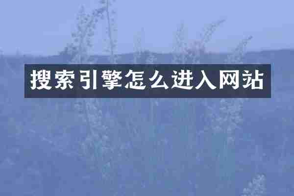 搜索引擎怎么进入网站