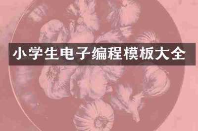 小学生电子编程模板大全