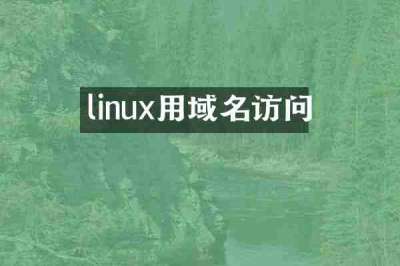 linux用域名访问