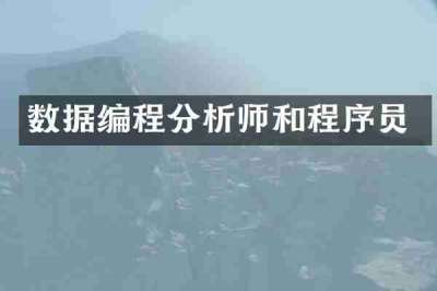 数据编程分析师和程序员