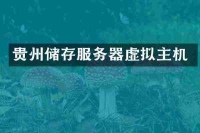 贵州储存服务器虚拟主机