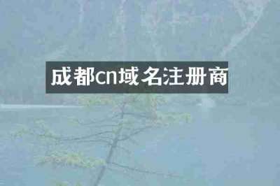 成都cn域名注册商