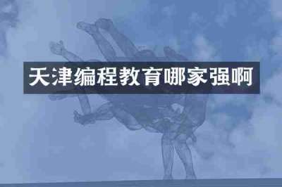 天津编程教育哪家强啊