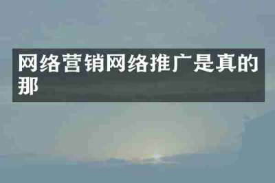 网络营销网络推广是真的那
