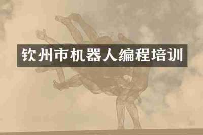钦州市机器人编程培训