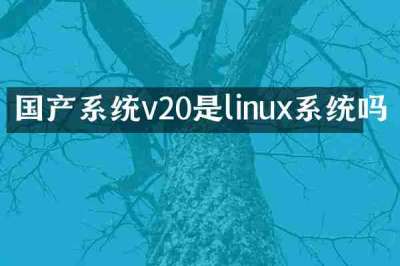 国产系统v20是linux系统吗