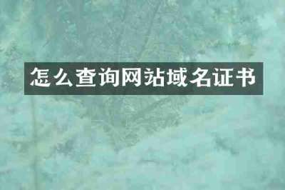 怎么查询网站域名证书