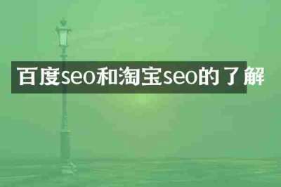 百度seo和淘宝seo的了解