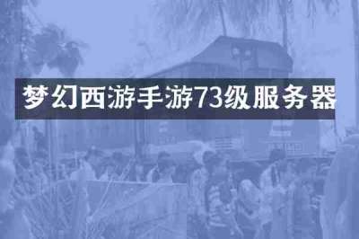 梦幻西游手游73级服务器