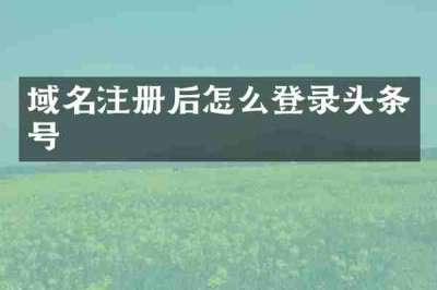 域名注册后怎么登录头条号
