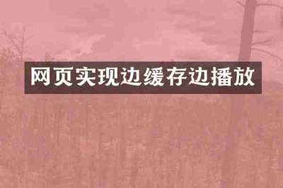 网页实现边缓存边播放