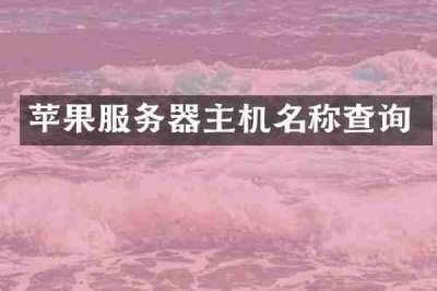 苹果服务器主机名称查询