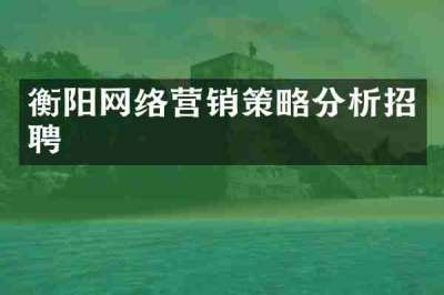 衡阳网络营销策略分析招聘