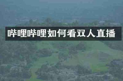 哔哩哔哩如何看双人直播