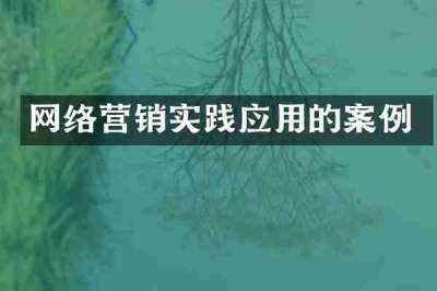网络营销实践应用的案例