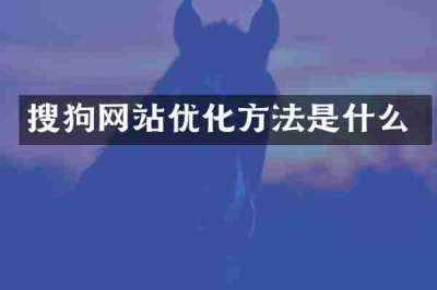 搜狗网站优化方法是什么