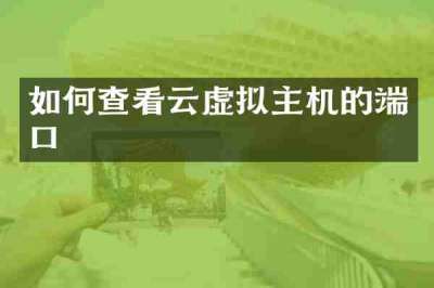 如何查看云虚拟主机的端口