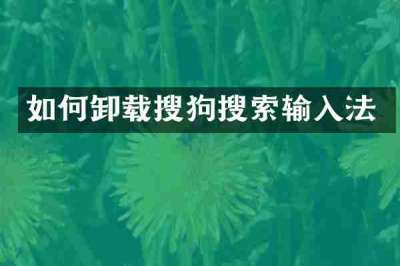 如何卸载搜狗搜索输入法