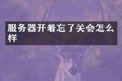 服务器开着忘了关会怎么样