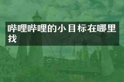 哔哩哔哩的小目标在哪里找