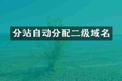 分站自动分配二级域名
