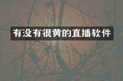 有没有很黄的直播软件