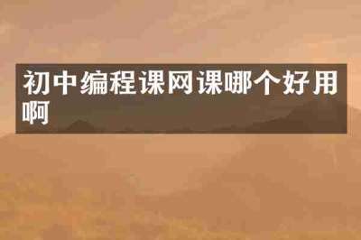 初中编程课网课哪个好用啊
