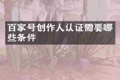 百家号创作人认证需要哪些条件