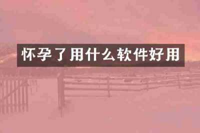 怀孕了用什么软件好用