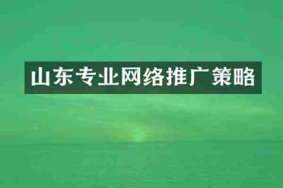 山东专业网络推广策略