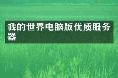 我的世界电脑版优质服务器