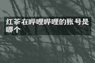 红茶在哔哩哔哩的账号是哪个