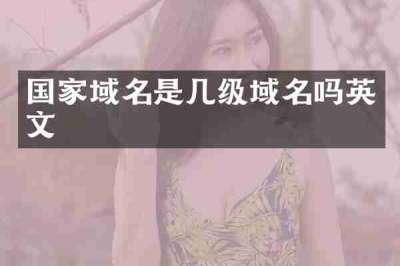 国家域名是几级域名吗英文