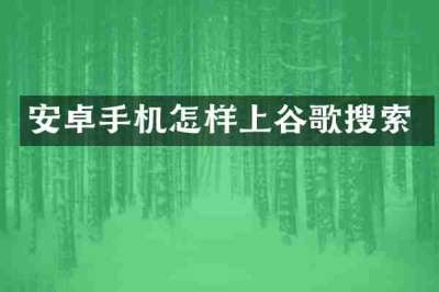 安卓手机怎样上谷歌搜索