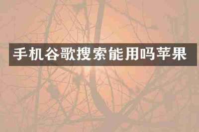 手机谷歌搜索能用吗苹果