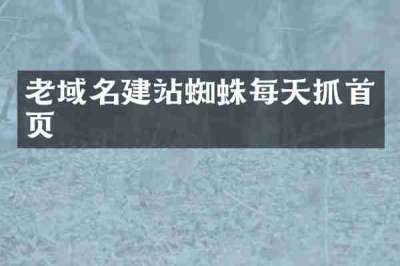 老域名建站蜘蛛每天抓首页