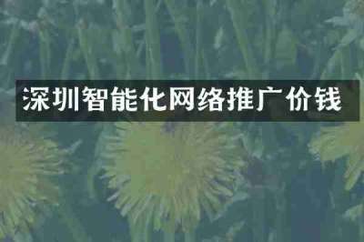 深圳智能化网络推广价钱