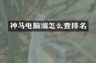 神马电脑端怎么查排名