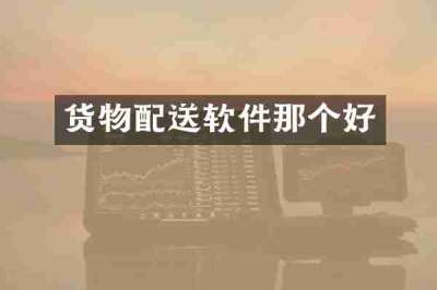 货物配送软件那个好