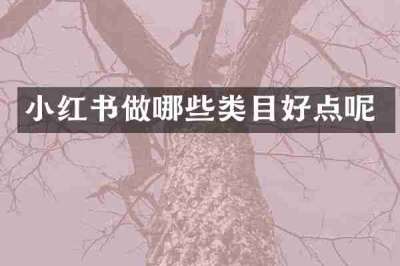 小红书做哪些类目好点呢