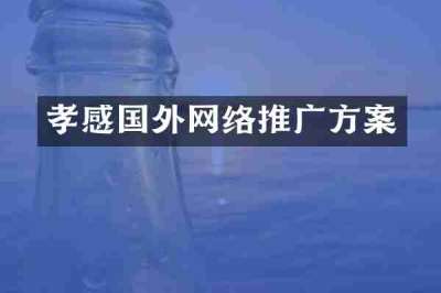 孝感国外网络推广方案
