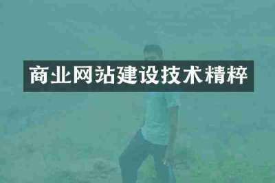 商业网站建设技术精粹