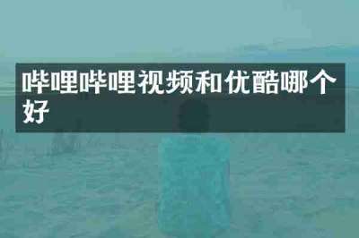 哔哩哔哩视频和优酷哪个好