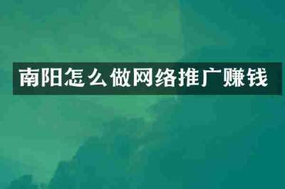 南阳怎么做网络推广赚钱