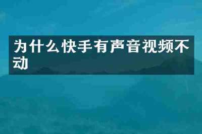 为什么快手有声音视频不动