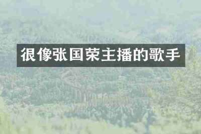 很像张国荣主播的歌手