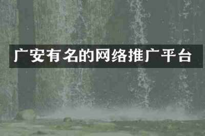 广安有名的网络推广平台