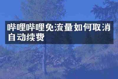 哔哩哔哩免流量如何取消自动续费