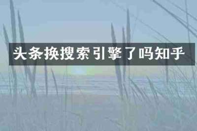 头条换搜索引擎了吗知乎